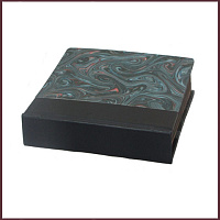 Paradoxorum physicorum dodecas