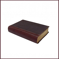 Стихотворения Плещеева