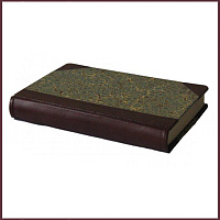 Стихотворения Аполлона Майкова