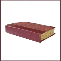 Господа Головлевы, полное собрание сочинений Салтыкова-Щедрина, т.2