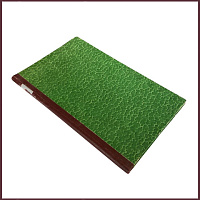 Писатели-ярославцы. Ярославский край как один из культурных и литературных центров России