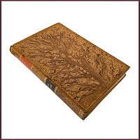 Похождения Чичикова, или Мертвые души. Том 2