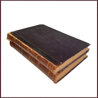 История русской критики в 4 частях, в 2 книгах