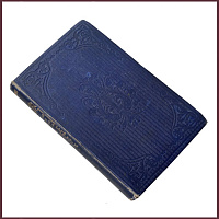 The music master, a love story and two series of day and night songs by William Allingham